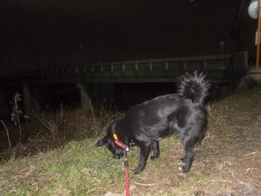 イヴ姫橋を渡る