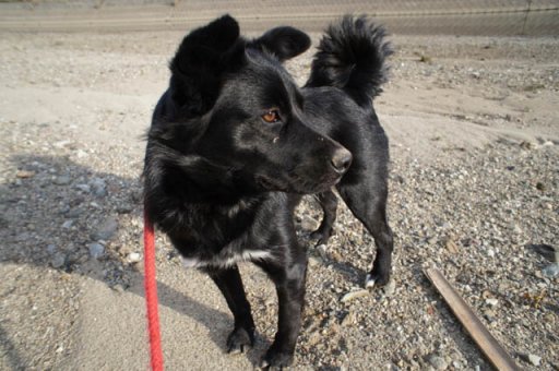 寒波がハンパない