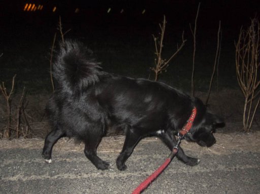 たぶん氷点下の世界