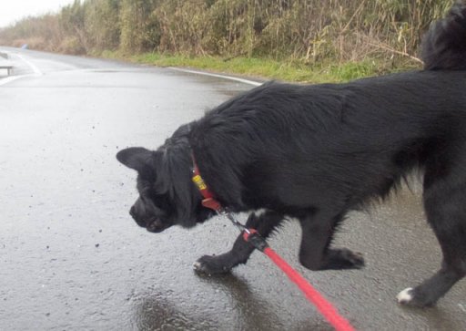 雨のちやっと曇り