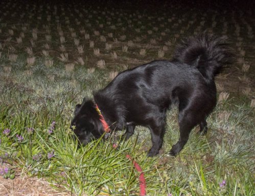 マリン橋の左岸を行く