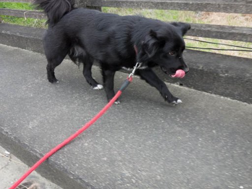 マリン橋よりイヴ姫橋