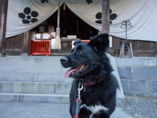 オーバーヒート