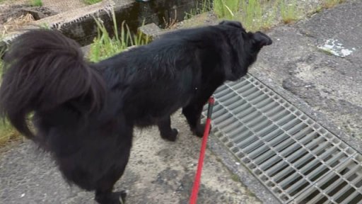 検証・グレーチング超え