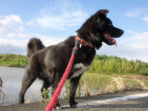 台風行ってまた一難