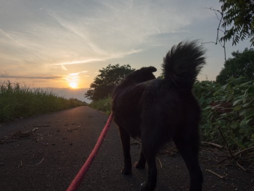 梅雨明けかもねのマリン橋