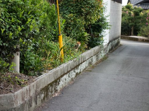 ちょっとトラウマ