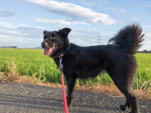 嵐の前の涼しさ