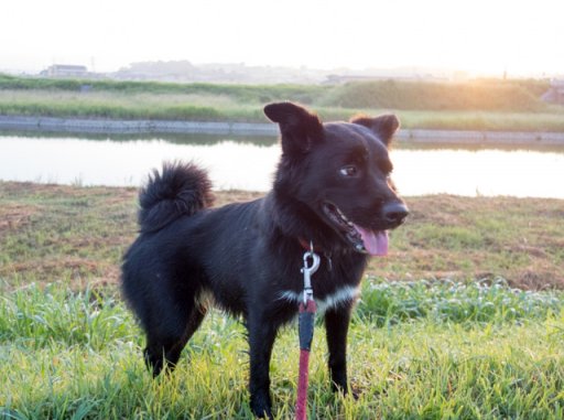 左岸から右岸へ