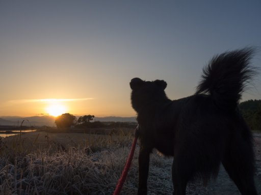 冬日和な二日目