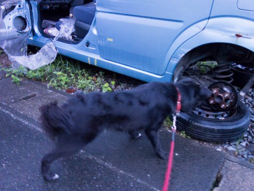 雨上がり放水日和