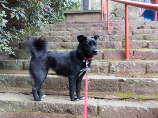 2019初階段トレーニング