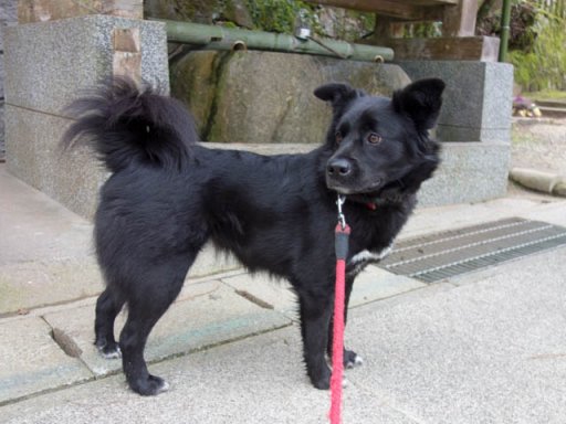 弥生・三月・低気圧