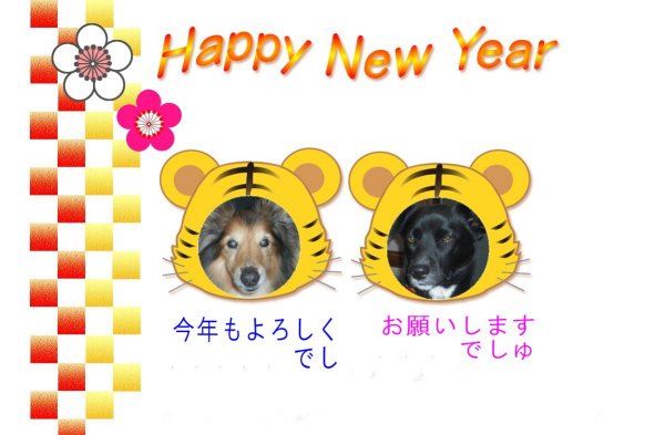新年でし