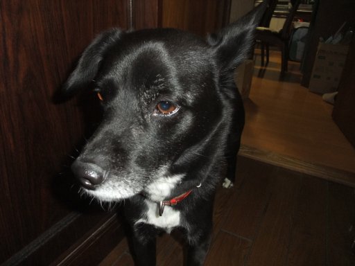 ２℃あることは３℃ある