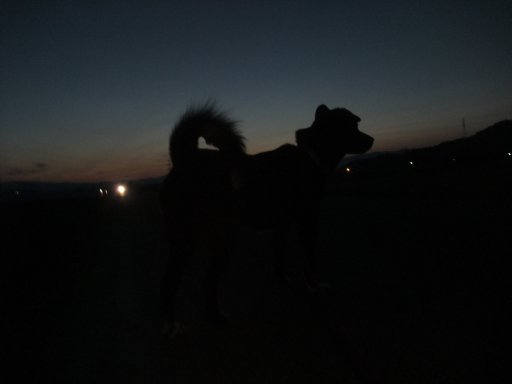 にっきゅうの日