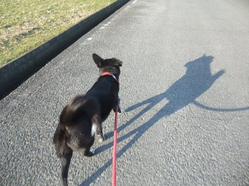 ファイル 1014-2.jpg