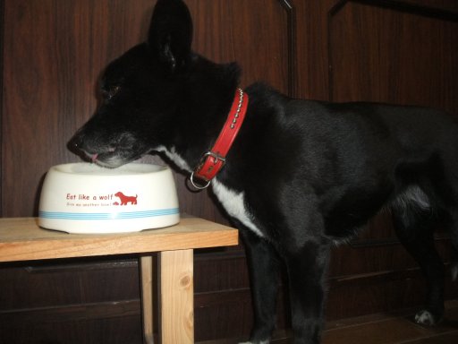 姫のサイド攻撃