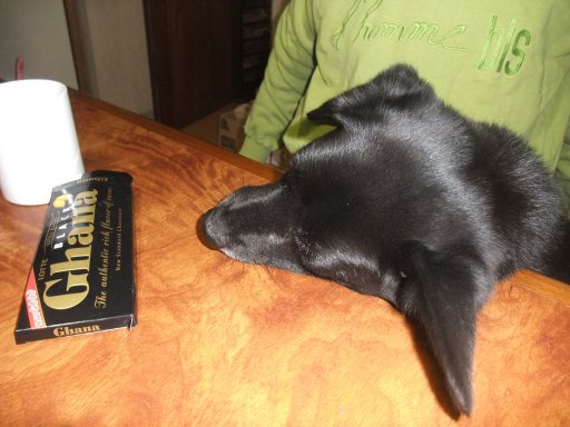 ファイル 1038-2.jpg