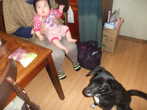 誰かさんの誕生日