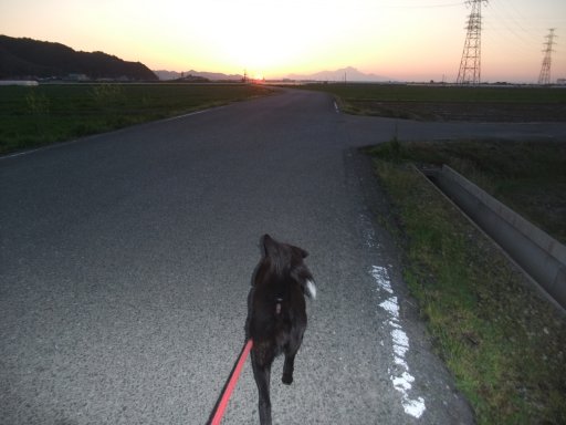 間に合うか（日没編）