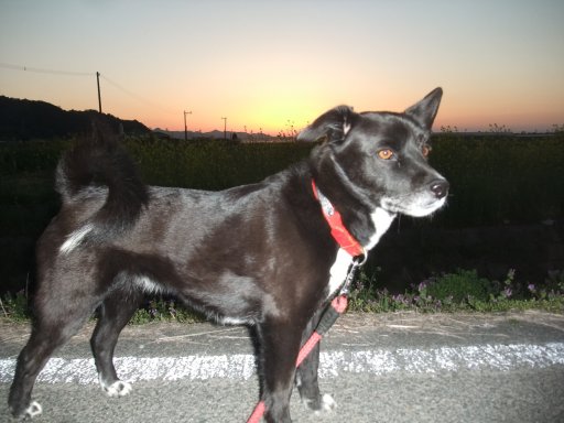 ファイル 1041-2.jpg