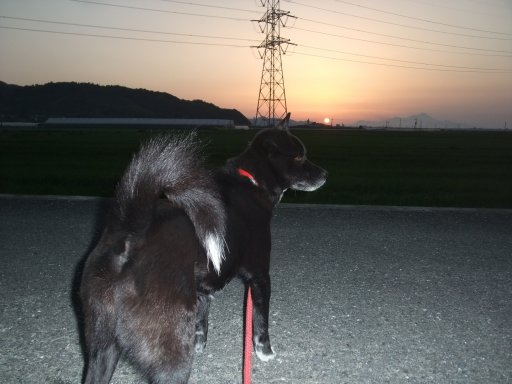 ファイル 1042-2.jpg