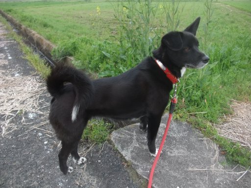 ファイル 1044-4.jpg