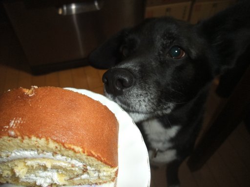 ファイル 1056-2.jpg