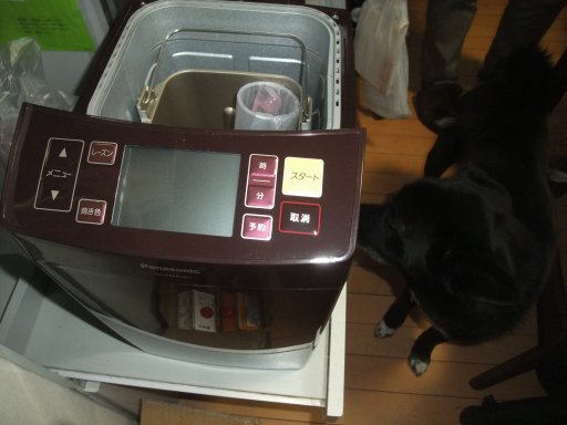 ファイル 1062-2.jpg