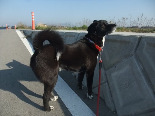 ファイル 1065-2.jpg