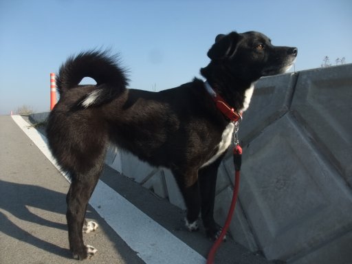 ファイル 1065-3.jpg