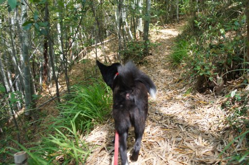 ファイル 1080-2.jpg