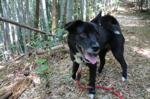 ファイル 1080-3.jpg