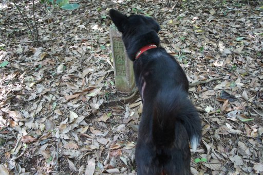 ファイル 1080-5.jpg