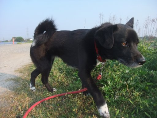 ちょっとお疲れか