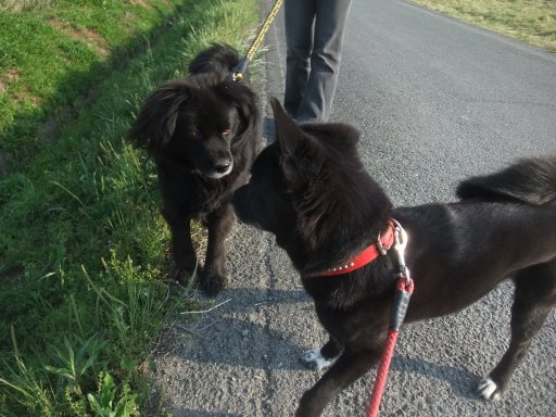 ファイル 1081-3.jpg