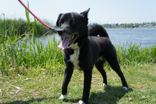 ファイル 1082-3.jpg