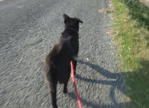 ファイル 1083-4.jpg