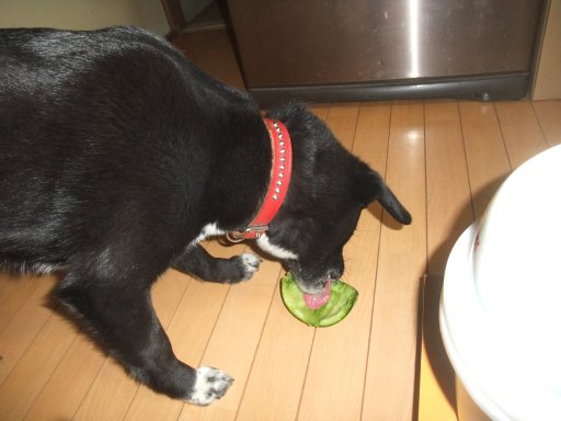 ファイル 1086-2.jpg