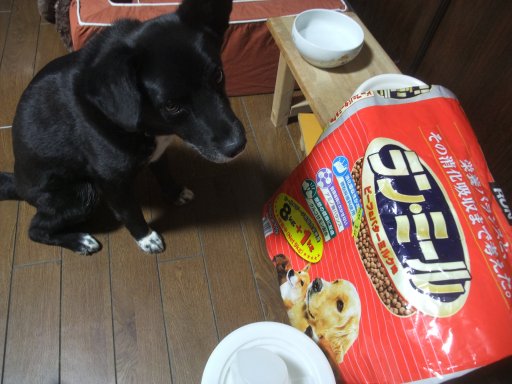 フード切り替え