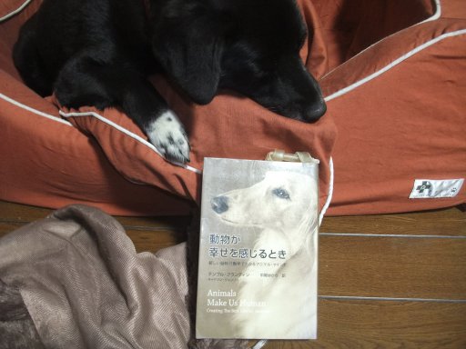 姫が幸せを感じる時