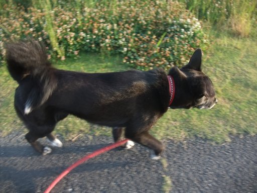 ファイル 1093-2.jpg