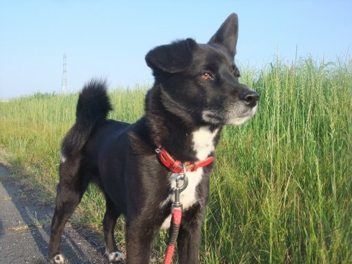 ファイル 1093-3.jpg