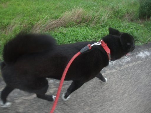 帽子も飛ぶ風の日