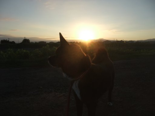 梅雨、明けました
