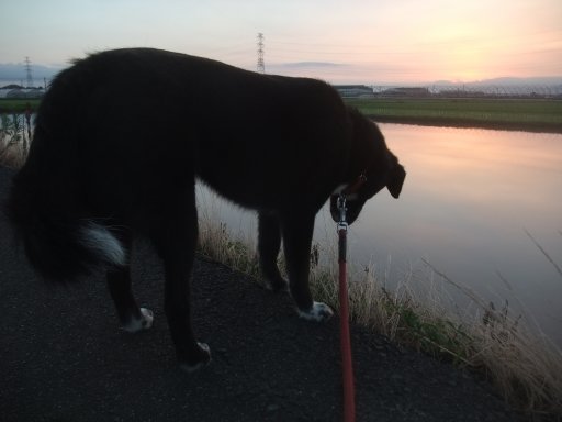 ストップ猛暑ん