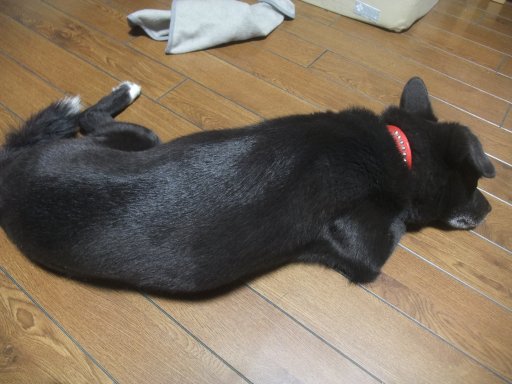 ファイル 1143-2.jpg