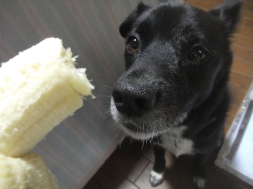 ファイル 1159-3.jpg