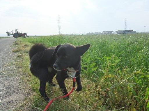 ファイル 116-4.jpg